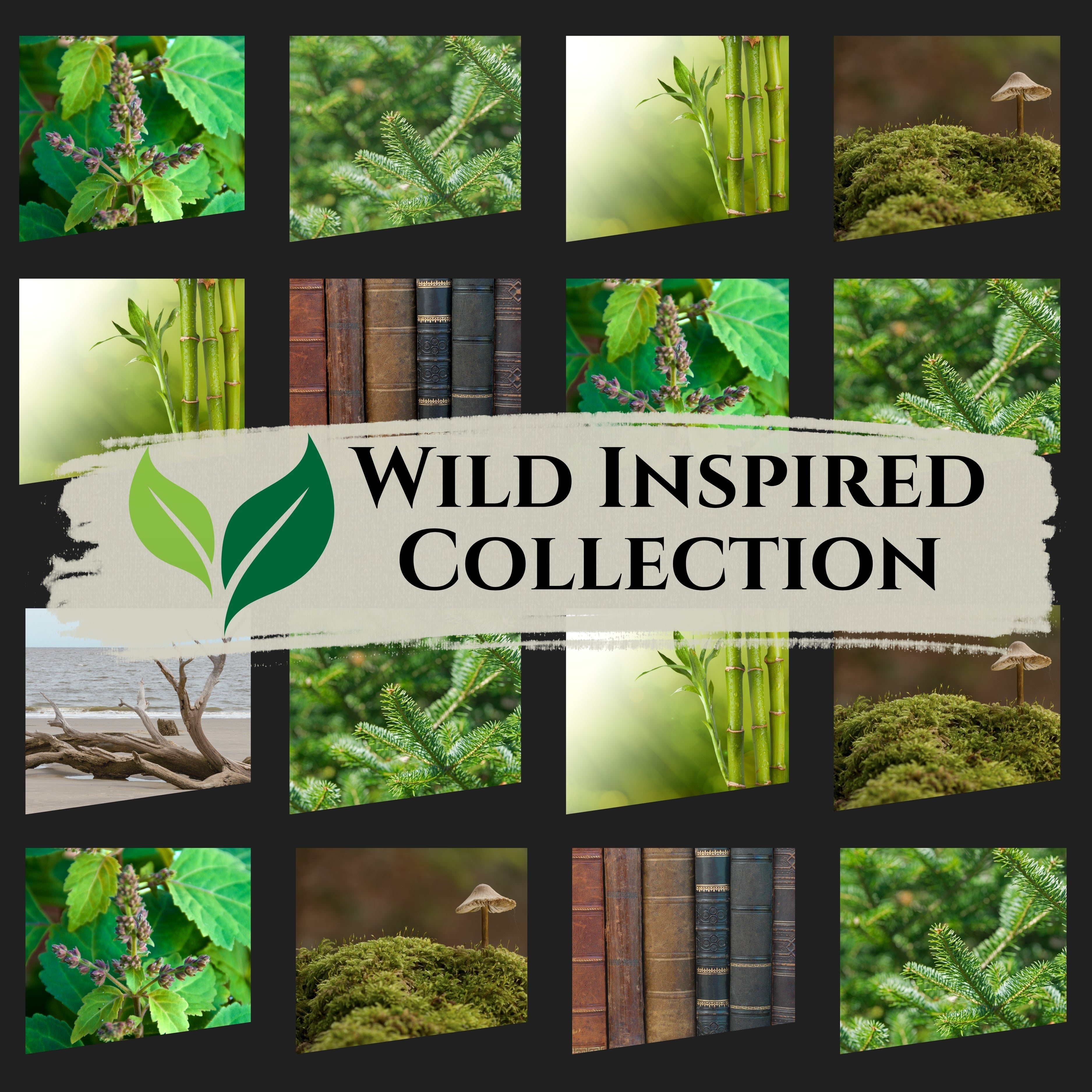 Wild Inspired Collection