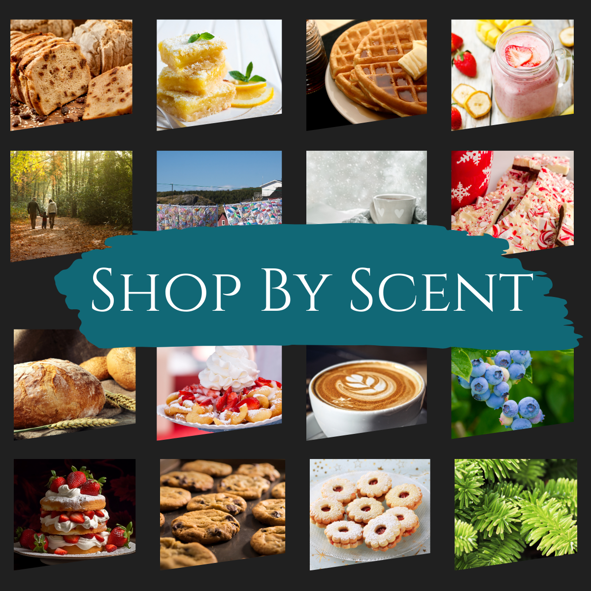 Shop By Scent