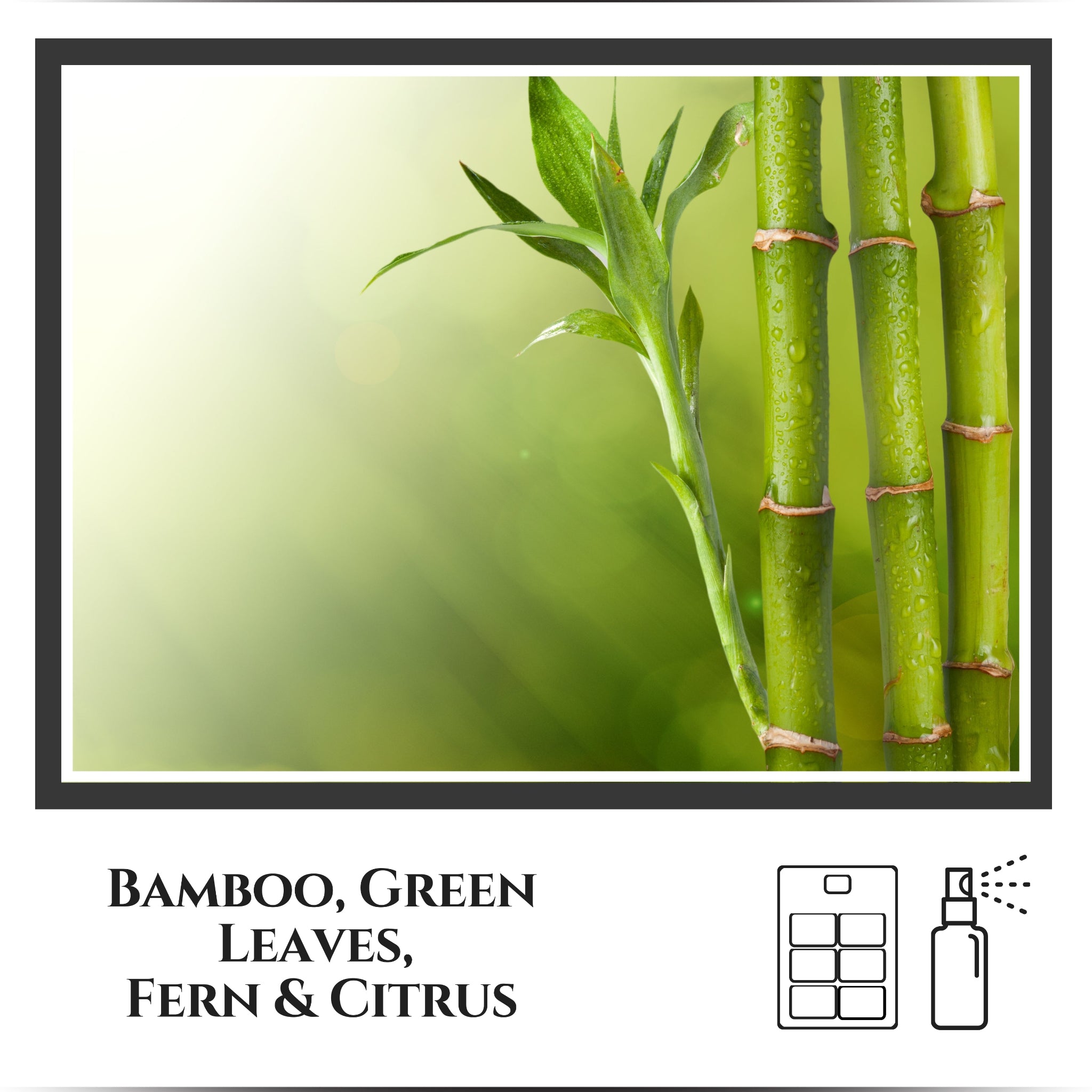 Bamboo and Rain Scent by Lighthouse Fragrance Company