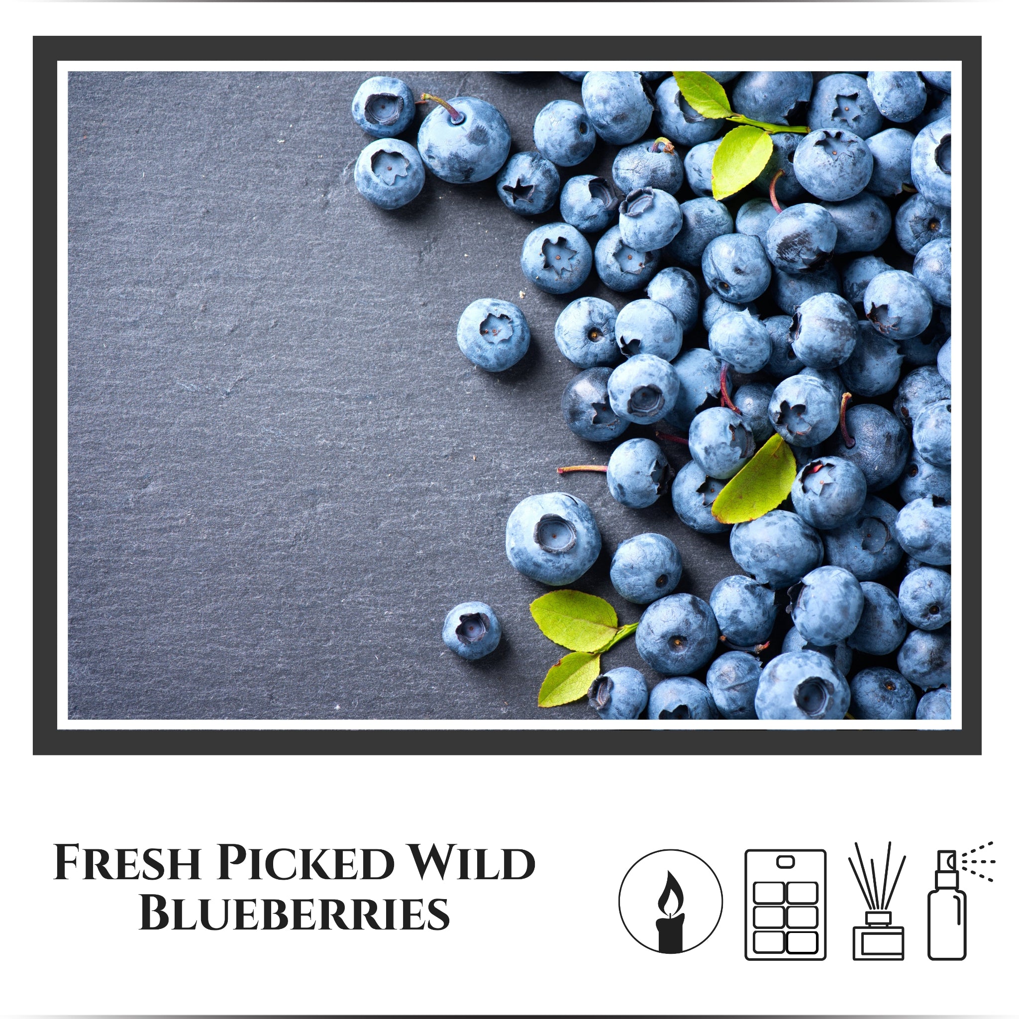 Blueberry Fields Scent by Lighthouse Fragrance Company